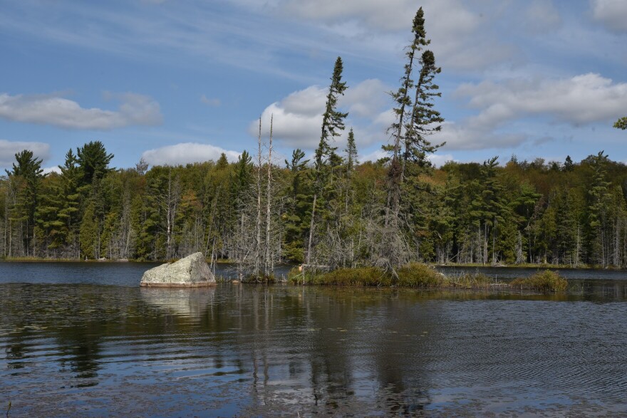 A view from a trail in the Craig Lake State Park.