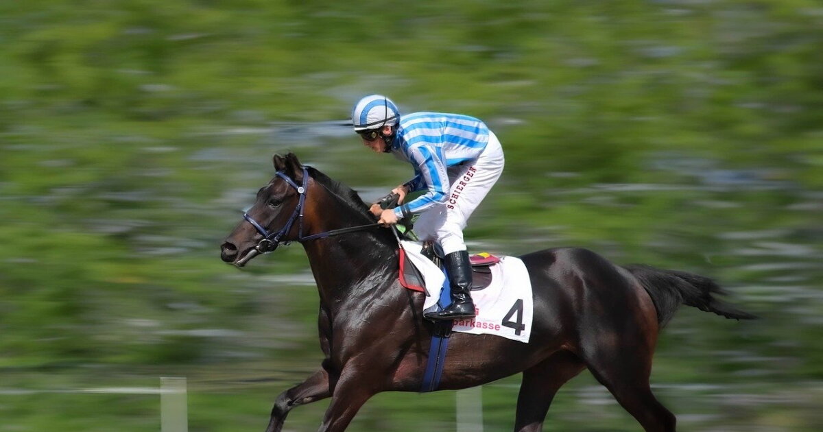 Sandy's Racing Track Local officials tout the impacts of Boyd County’s Sandy’s Racing and ...