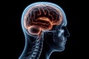 Charlotte summit to support community members and others in overcoming those challenges that arise from a brain injury.