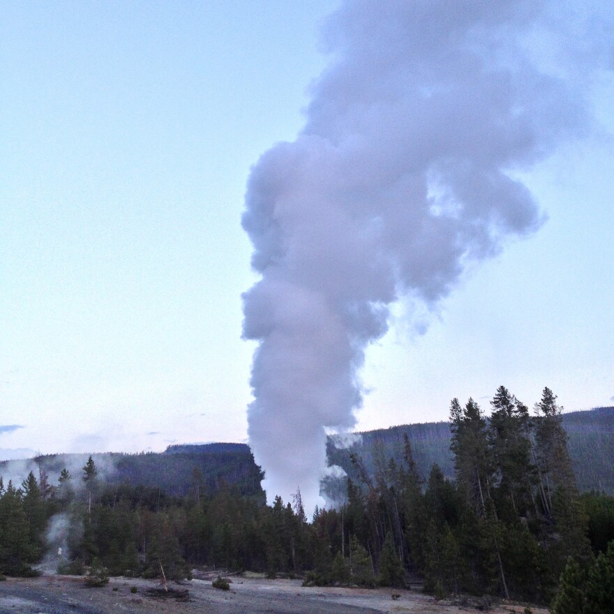 Steamboat Geyser erupts in July 2013.