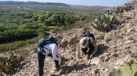 BioBlitz participants Kelly Lyons and Nessa Spence identify plants on a hillside in Big Bend National Park.