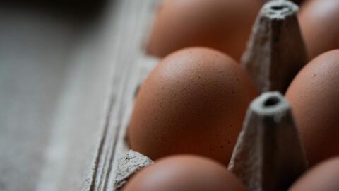 Eggs are seen in a carton on Monday, April 13, 2026, in Portland, Ore. (Jenny Kane/AP)