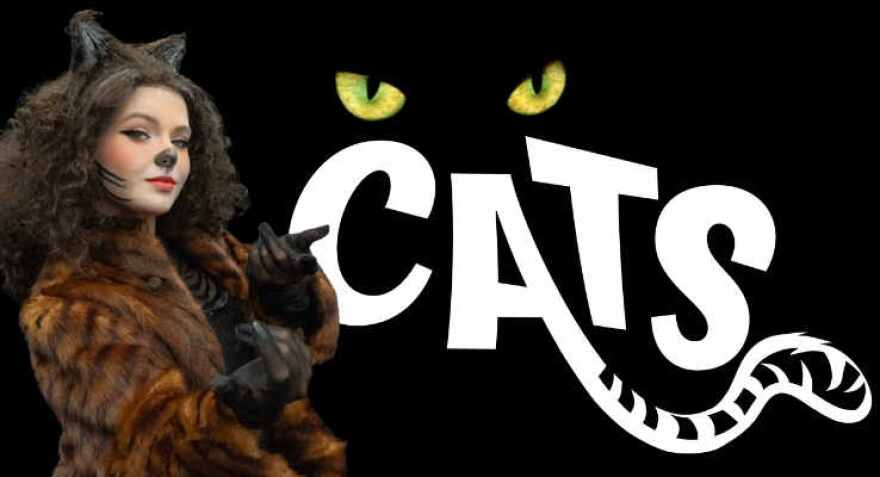 The Naples Players Academy Graphic for 'Cats'