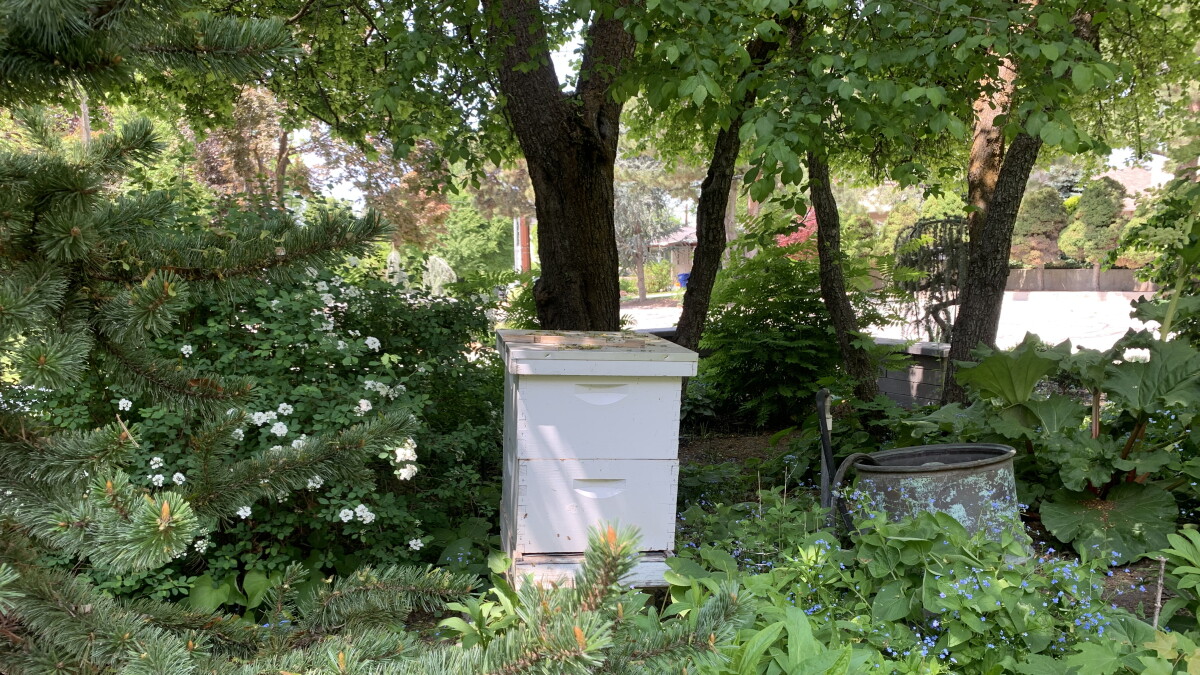 Beekeepers have it hard in Utah, report says - Vimarsana News