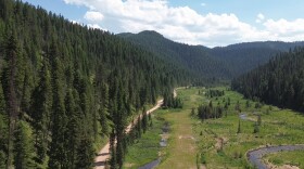 A drone photo shows a remote dirt road next to a green meadow surrounded by mountains covered by evergreen trees.