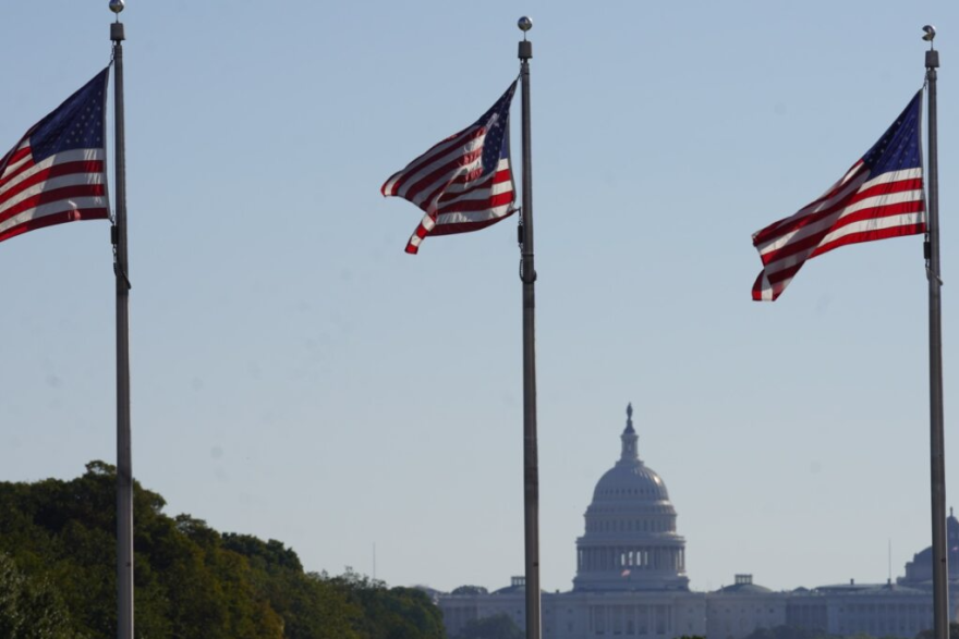 The U.S. Capitol in Washington, D.C.