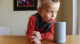 Oscar Pulkkinen, 4, the writer's son, asks Alexa to make an elephant sneeze. She obliged. Alexa is an artificial intelligence device from Amazon. It is voice controlled; users can turn on lights, play songs and make purchases by saying, 'Hey, Alexa.'