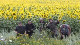 One day after the downing of Malaysia Airlines Flight MH17, investigators are trying to learn more about the crash and who might be responsible. Ukrainian coal miners search the crash site near the village of Rozsypne.