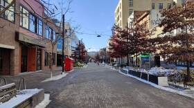 Mayor Svante Myrick compared the Ithaca Guaranteed Income program to federal stimulus checks sent out earlier in the pandemic. (Megan Zerez/WSKG)