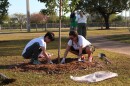 A young boy and a woman push down soil to plant a tree