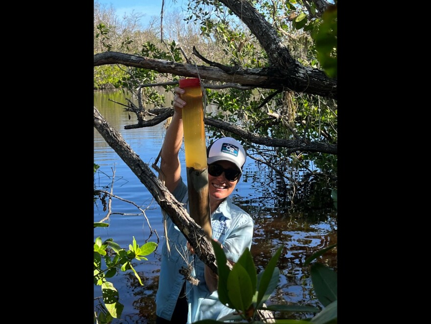 FGCU paleoclimatologist, Dr. Jo Muller, with a core sample taken after Hurricane Ian