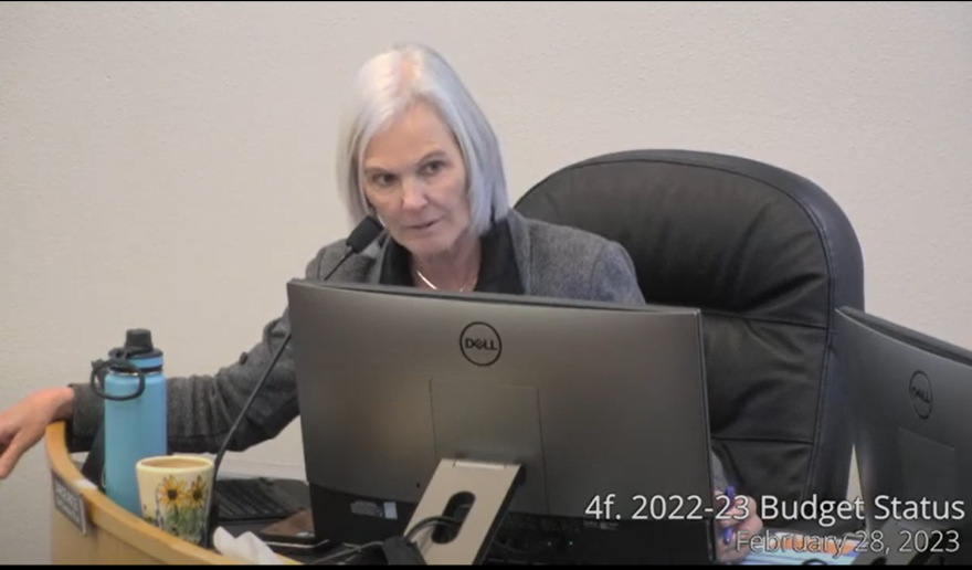 A gray-haired woman in a gray jacket sits at a computer monitor.