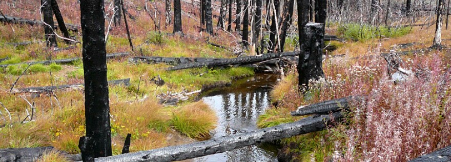 Washington lands officials have closed the northern part of the Loomis Natural Resources Conservation Area in the north central part of the state as a precautionary measure, due to a wildfire burning in British Columbia that's moving south toward the U.S.-Canada border.
