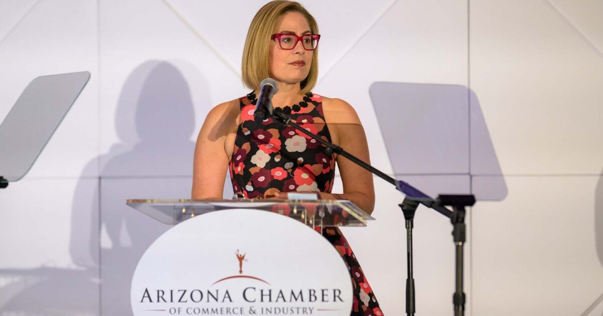 North Carolina woman files lawsuit accusing former Sen. Sinema of wrecking her marriage