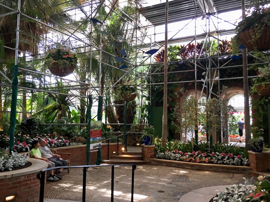 phipps_conservatory_palm_court_contruction.jpg