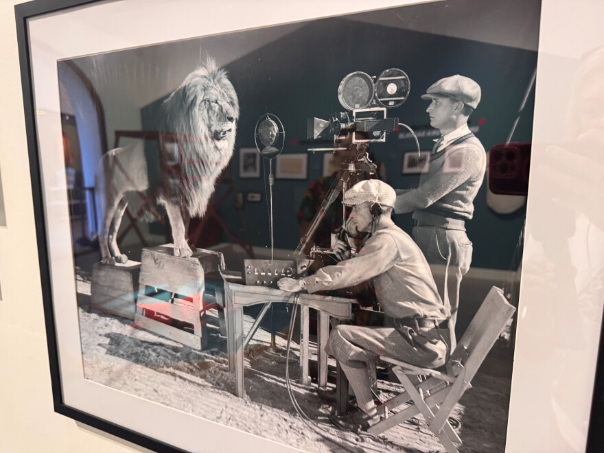 A new exhibition features the history of Jungleland