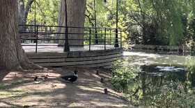 Brackenridge Park near the Koehler Pavilion in San Antonio