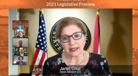 State Sen. Janet Cruz on a webinar