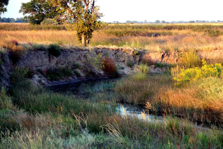 Quivira depends on water from Rattlesnake Creek, seen here where it enters the refuge to its west. For decades, the creek has frequently run too low to fulfill the refuge’s water rights.