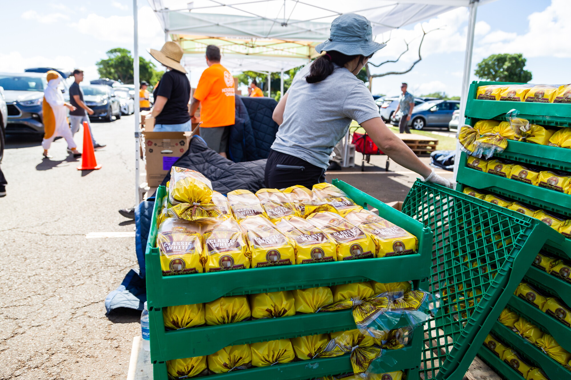 The Conversation: SNAP cuts; Women's Court in Kona episode artwork
