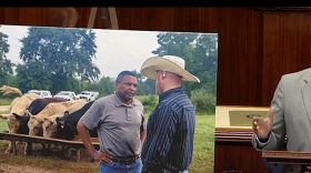 Screenshot of Davis speaking on the floor