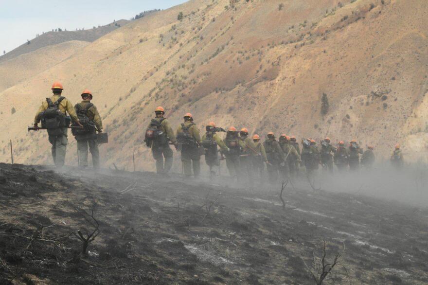 A row of wildland firefighters wearing yellow jackets and red helmets walk single file over scorched and smoking earth. 