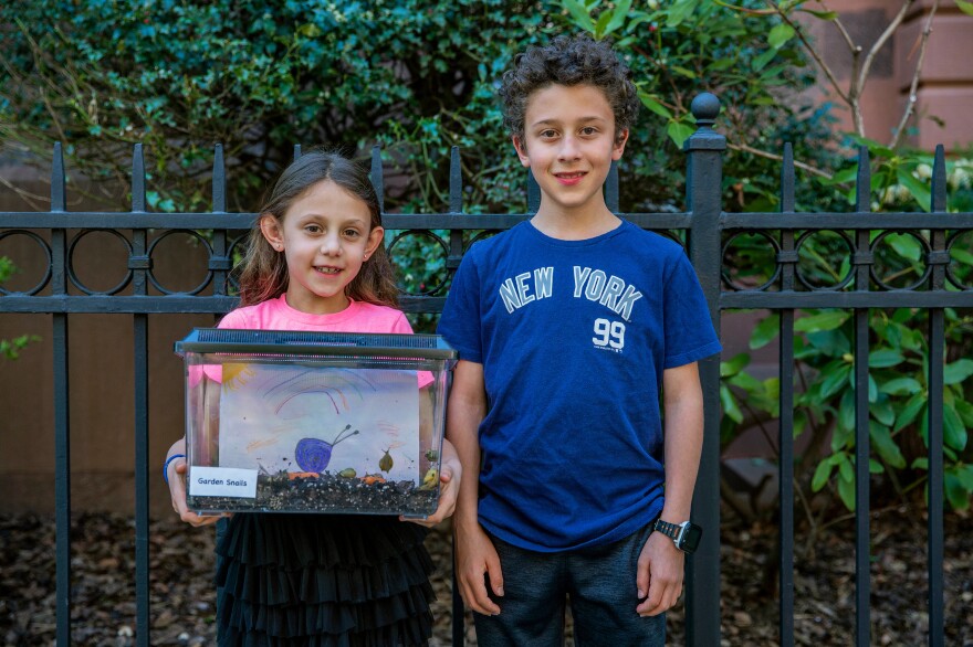 Second-grader Violet Goldberg and her brother, Jonah Goldberg, who is in fifth grade, are fostering the garden snails from the PS 58 science classroom.
