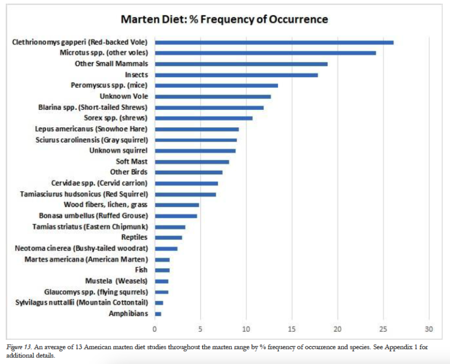 A chart showing the diet of the American marten, with voles being the most common food.