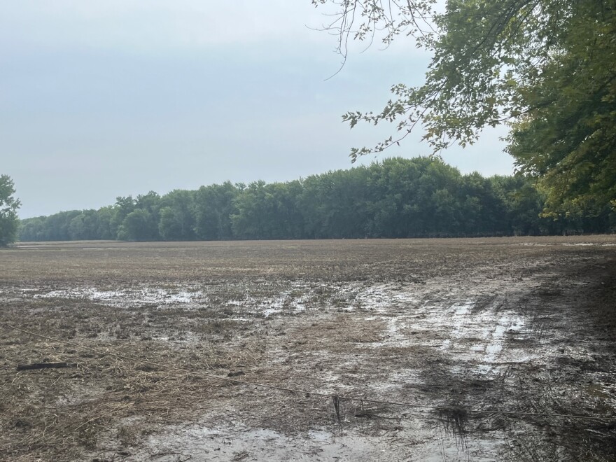 Recent storms and flooding has destroyed fields of crops across Connecticut, including Fair Weather Growers in Rocky Hill.
