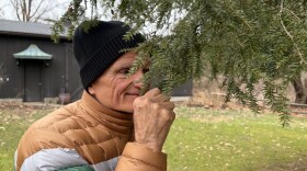 Dr. Joseph Blanda stops to smell a hemlock while guiding a mindfulness-centered nature hike in the Cuyahoga Valley National Park.