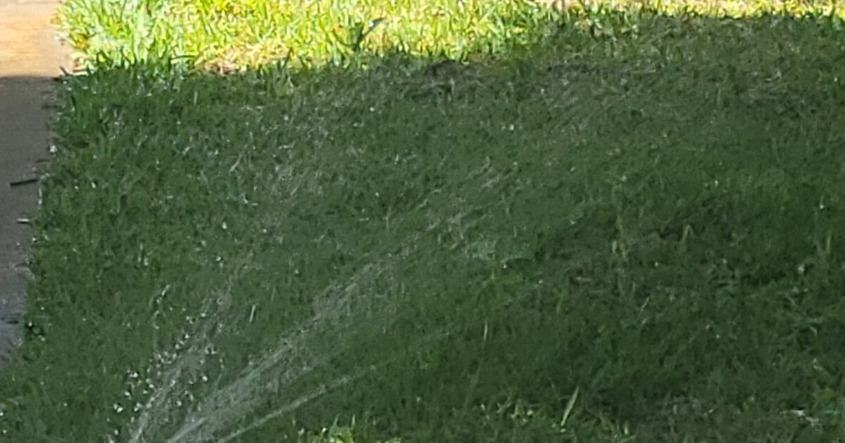 Reports of water violations surge in Sarasota County as drought continues
