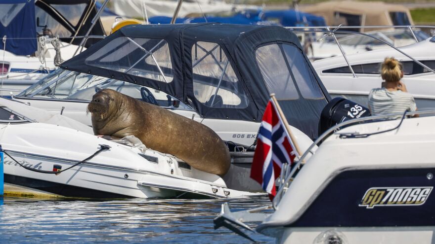 Tor Erik Schrøder/NTB Scanpix via AP
