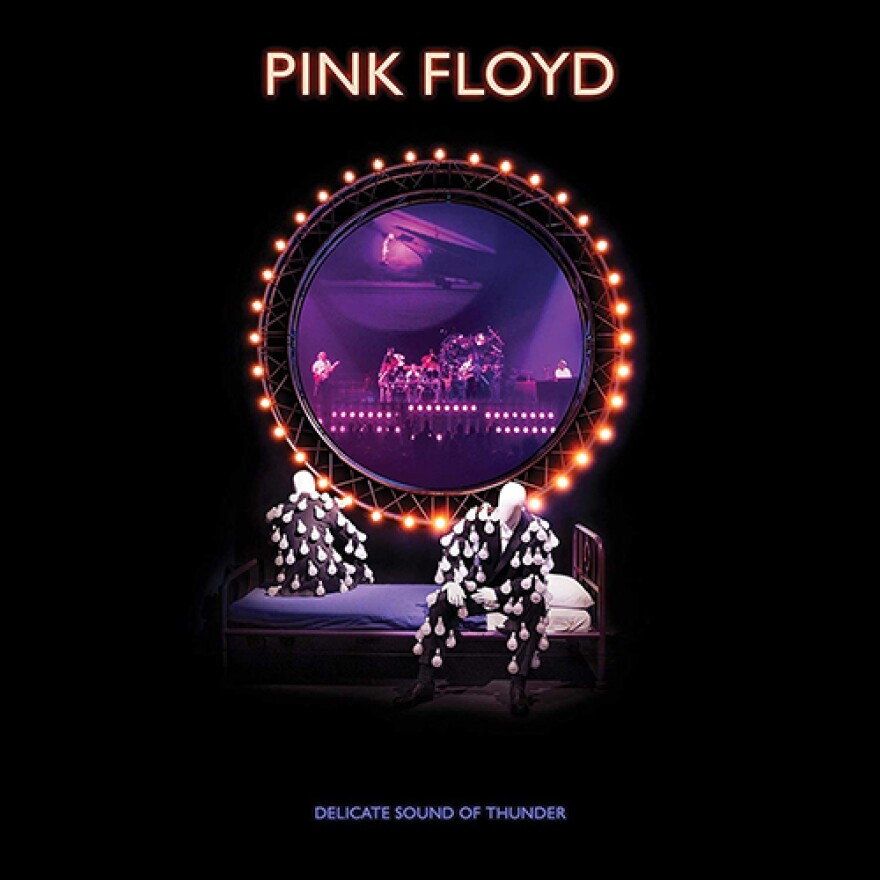 pink_floyd_delicate_sound_of_thunder.jpg
