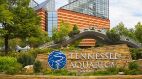 The Tennessee Aquarium in Chattanooga.