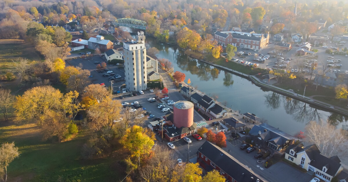 Will fall's colors be muted by fungal disease and wet weather?