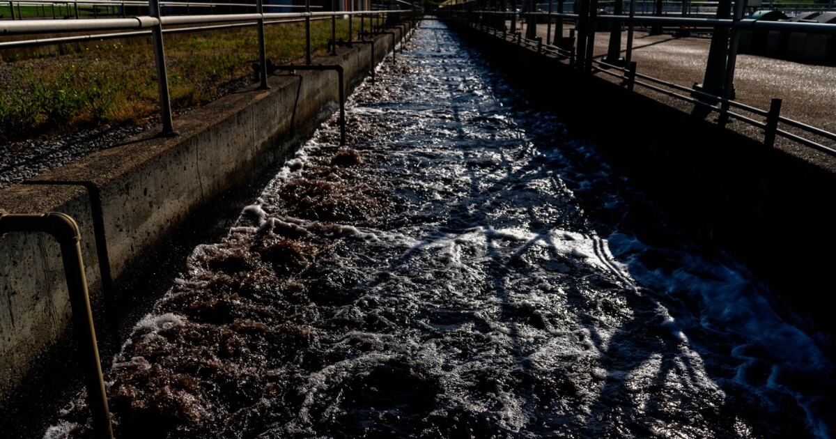 Wastewater in Midwest states carries high levels of COVID, says CDC