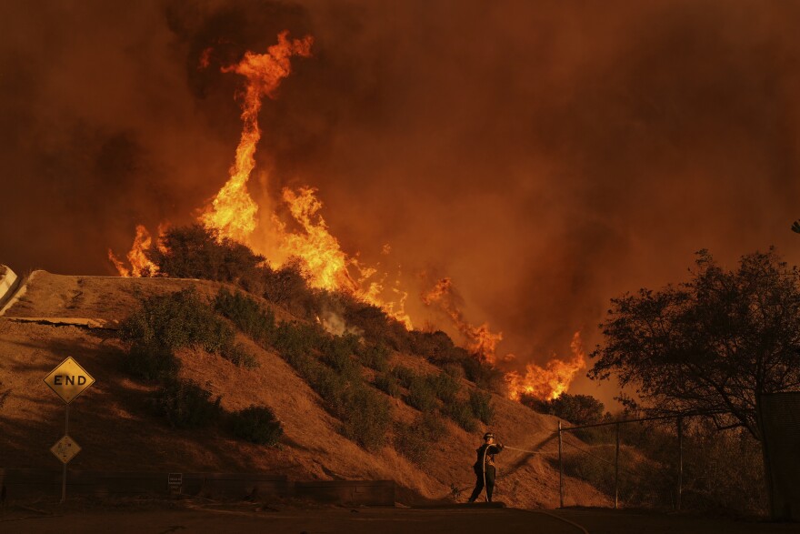 Flames erupt and stand high in a wooded area. There are road signs and fences nearby. A lone firefighter holds a hose and sprays water.