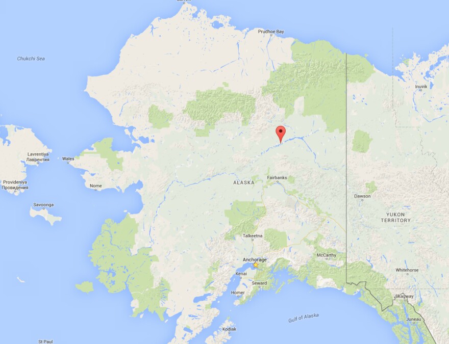 Beaver - downstream of Fort Yukon, north of Fairbanks as the crow flies. Image: Google Maps.