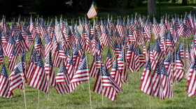 Some of the 660 American flags on display are seen on the church lawn of St. Peter's Reformed Church, Friday, Aug. 30, 2019, in Zelienople, Pa. Each flag illustrate the number of veterans that commit suicide a year. 
