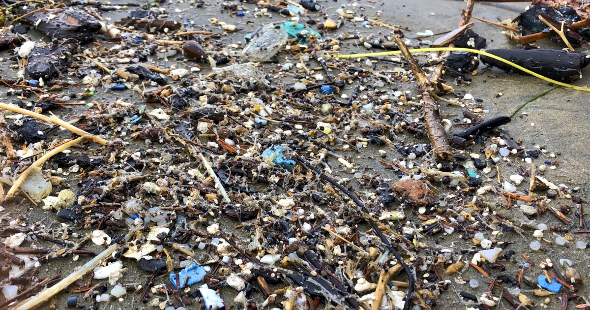 Researchers tested more than 75 Texas waterways for…