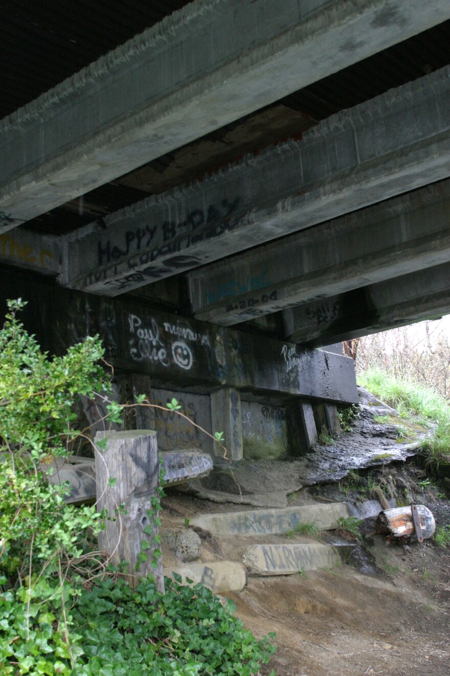 It'll be up to Cobain's fans to name the bridge in Aberdeen after the Nirvana front man because the city council said no.