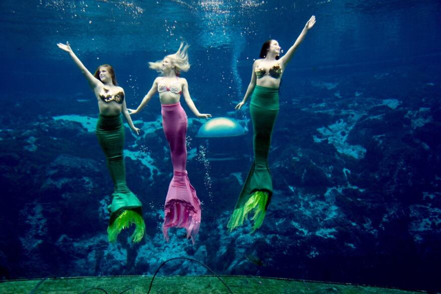 On Jan. 12, 2023, Weeki Wachee Springs State Park will unveil 28 mermaid statues to celebrate its anniversary, in an exhibition called Destination Mermaid: The Tail Trail.