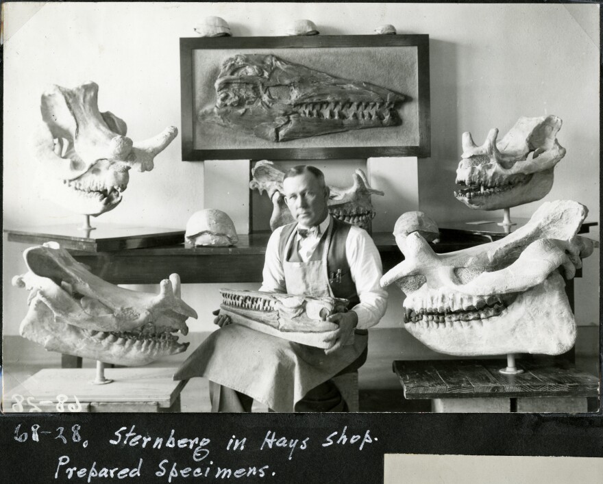 Man sitting with fossils