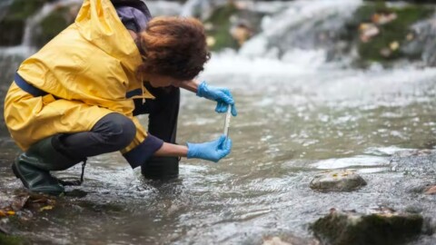 PFAS, often used in water-resistant gear, also find their way into drinking water and human bodies. (Photo by CasarsaGuru via Getty Images)