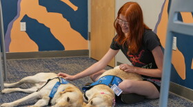 A dog sits on the floor with a student.