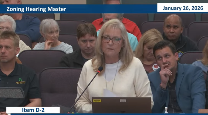 Renee Maddison of Valrico addressing Hillsborough's Zoning Hearing Master.
