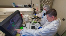 Gregory Aune, MD, PhD, pointing, works in his lab at the Greehey Children’s Cancer Research Institute at UT Health San Antonio. Dr. Aune is a pediatrics faculty member in the university’s Joe R. and Teresa Lozano Long School of Medicine.