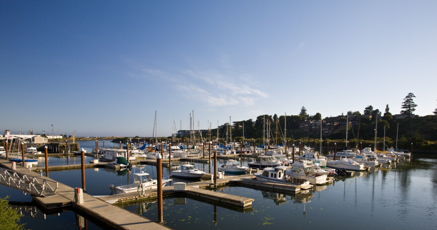 Boats sit in slips at the Port of Brookings Harbor under a clear blue sky.
