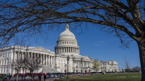 The U.S. Capitol Building sits in front of a large green lawn, crowds of people can be seen in front of it. A tree stands in the foreground, with a branch extending across the top of the photo. 