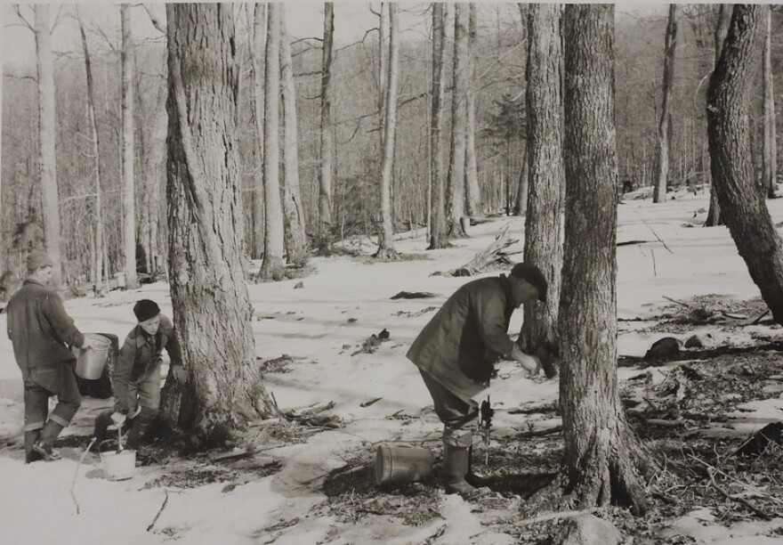 A black and white photo of a person bending over by a tree. Two boys carry buckets to the left of a second tree.